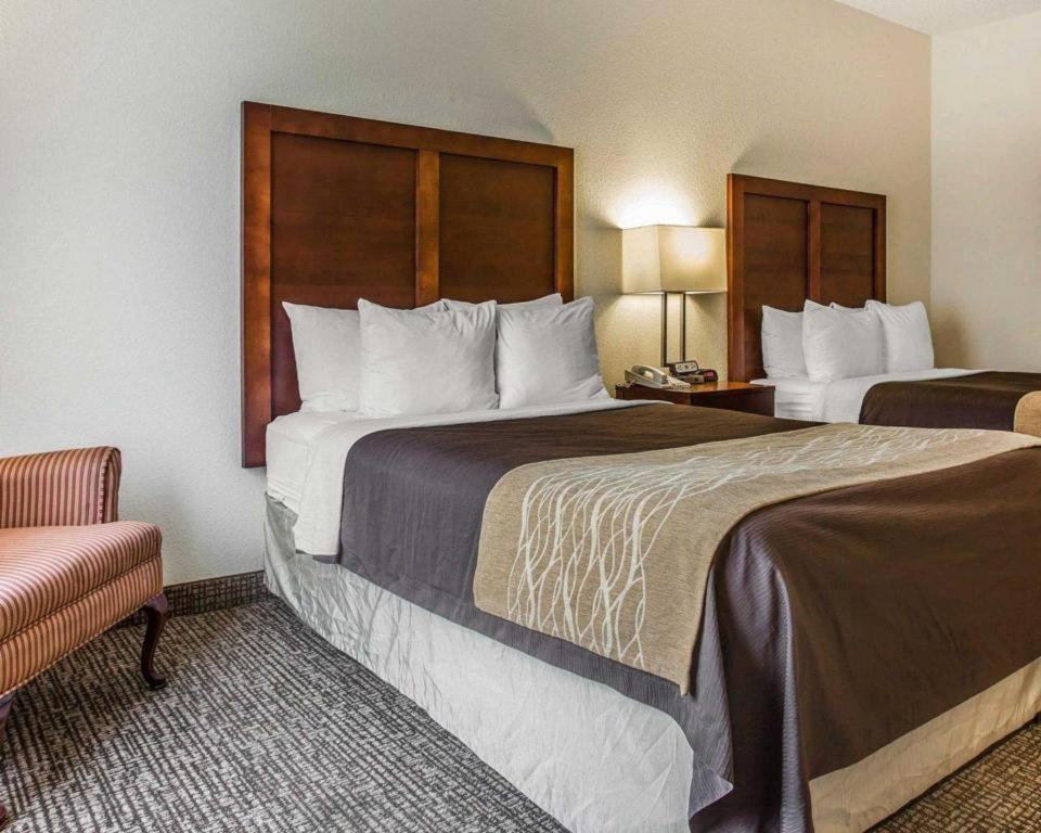 Comfort Inn & Suites Camden Zewnętrze zdjęcie