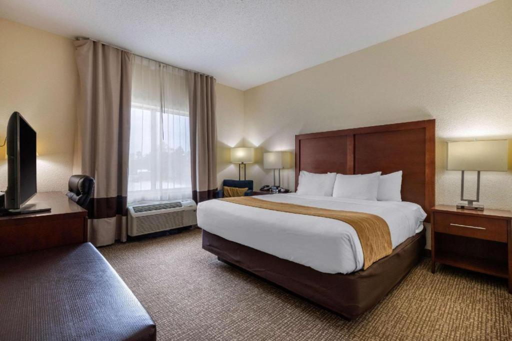 Comfort Inn & Suites Camden Zewnętrze zdjęcie